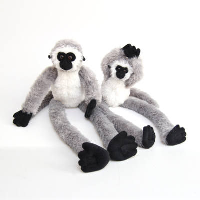 Monkey Extend Vervet Med